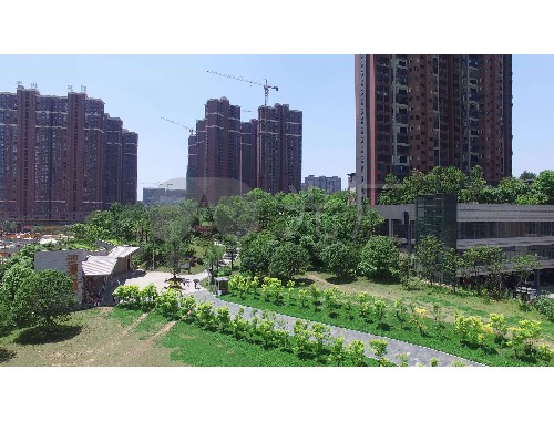 博鱼boyu官方网站：义马园林绿化处领导班子