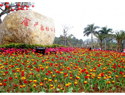 博鱼boyu体育官方平台：嵊州姚瑶绿化工程招标网