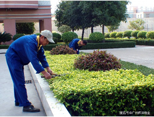 博鱼boyu体育官方平台：宜宾汽车绿化工程招聘